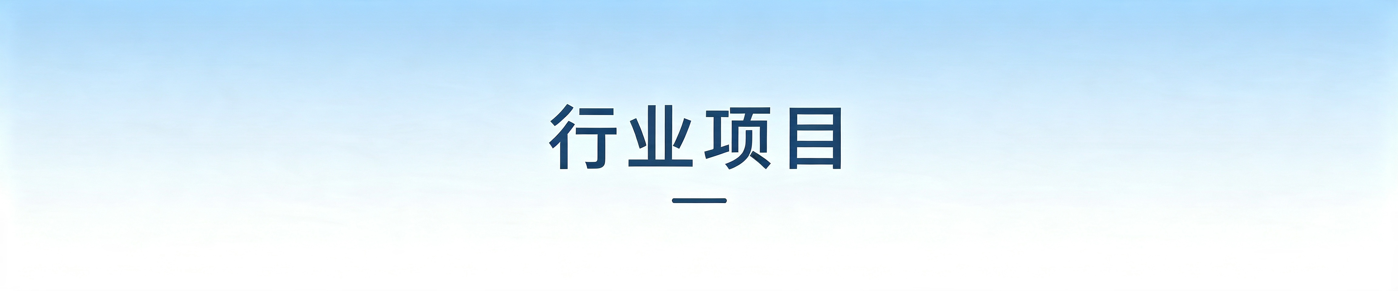 行业项目